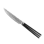 VG10 High Hardness Steel Damascus Steak Knife