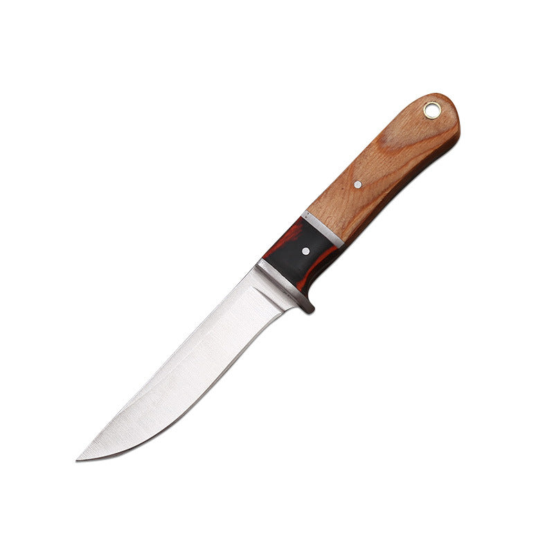 Multi-purpose Stainless Steel Fruit Knife